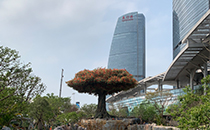 爵士龙户外音响系统护航厦门某城市公园焕新